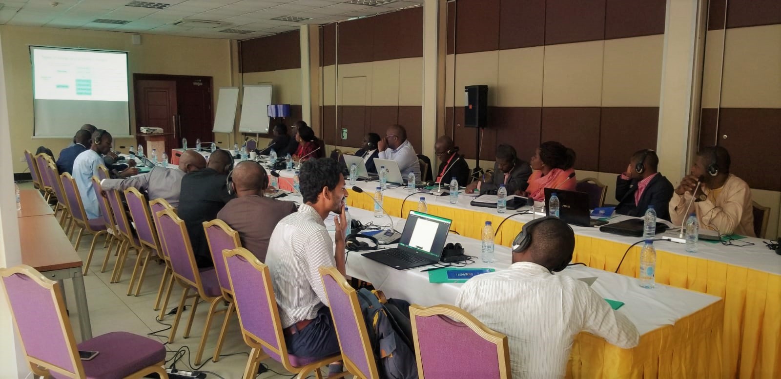DESA presents progress on the CLEWs model of Cameroon in Yaoundé